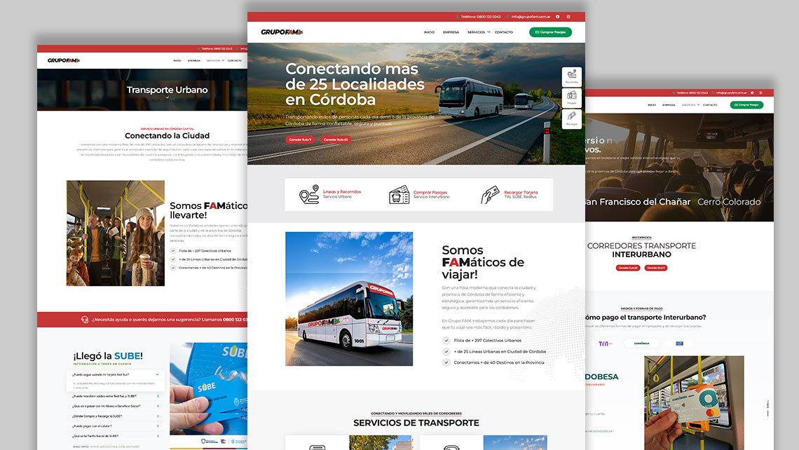 desarrollo web landing publicidad google cordoba