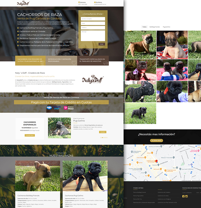 landing page publicidad google ads